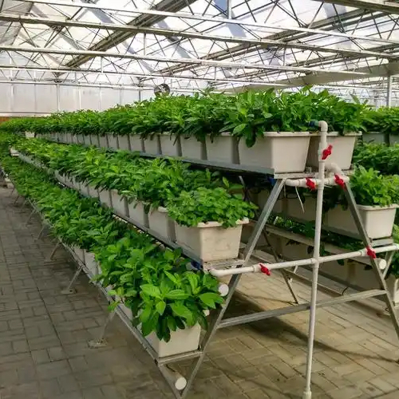 张家界市植物工厂植物工厂 - 一站式服务