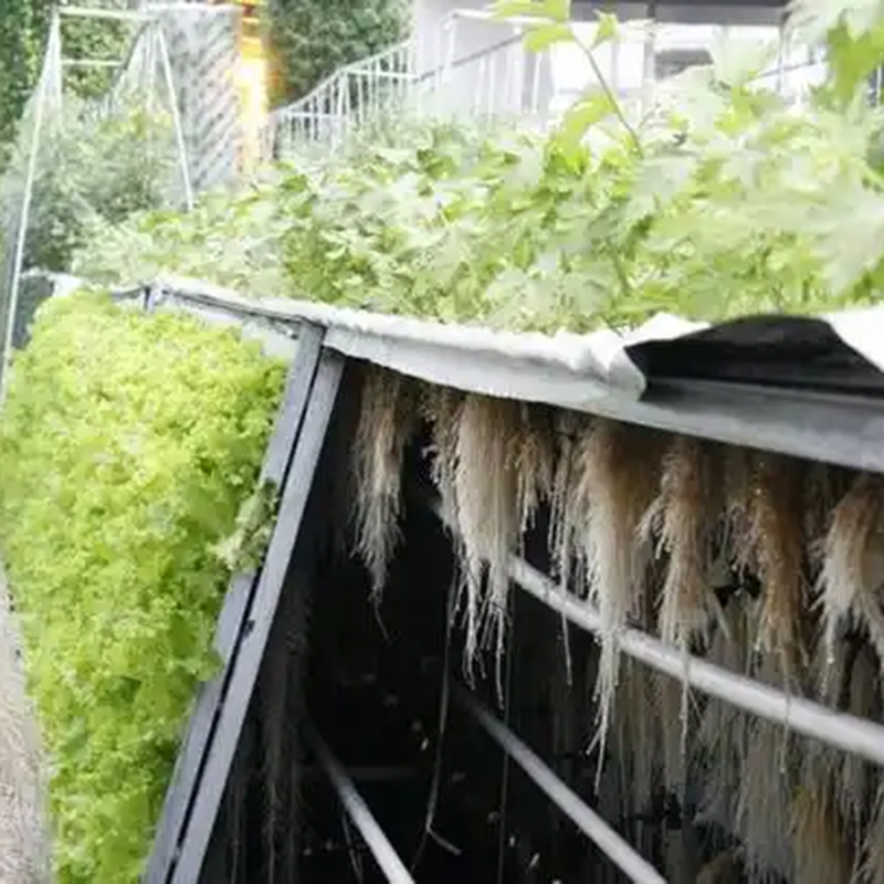 张家界市气雾培植物工厂 - 厂家