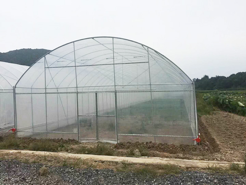 张家界市薄膜大棚蔬菜大棚 - 一站式服务