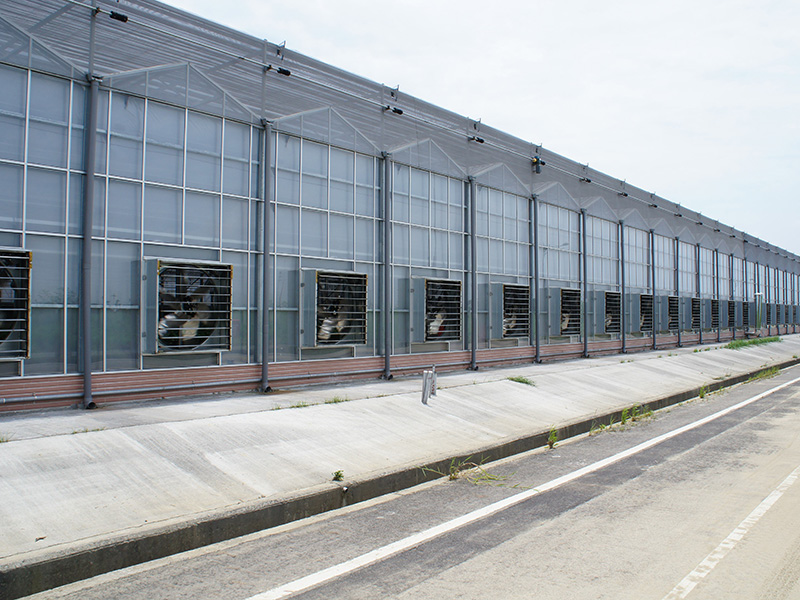张家界市玻璃大棚植物工厂 - 厂家